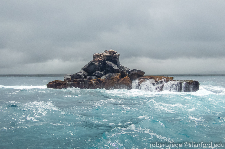 galapagos